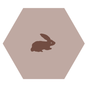 Hexagonal Tile with Image